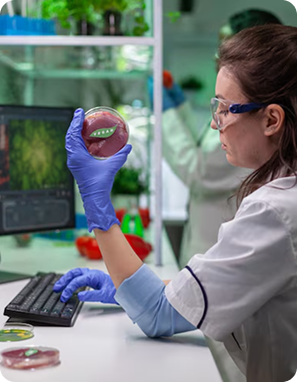 Prototype Development